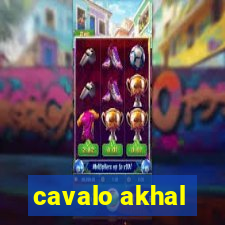 cavalo akhal-teke a venda no brasil cavalo akhal teke no